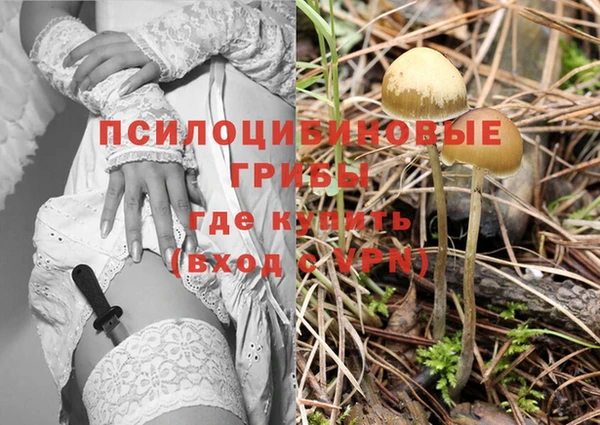 амф Баксан