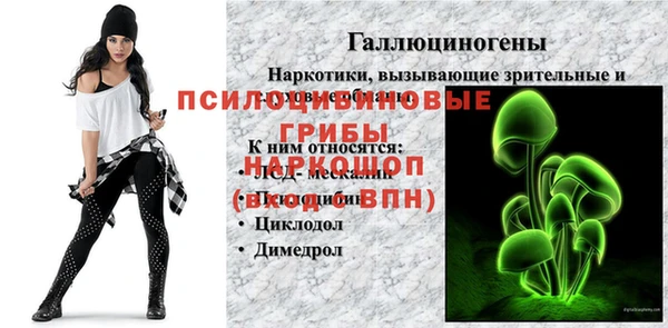 стафф Белоозёрский
