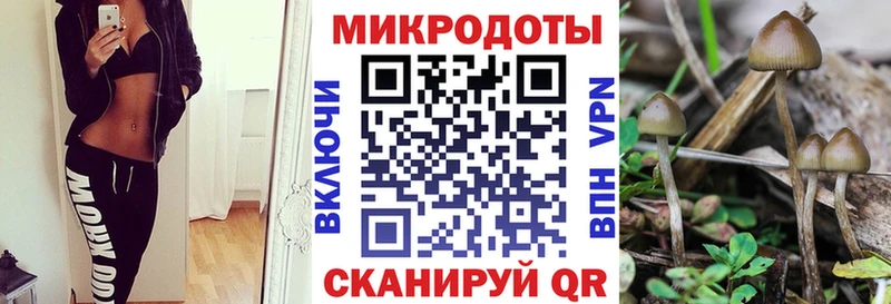 Псилоцибиновые грибы прущие грибы  где купить   Будённовск 